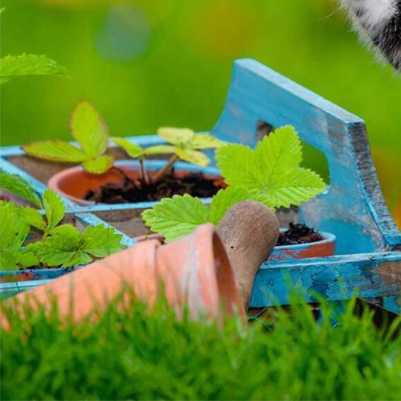 New sealed Ravensburger-3x49 Piece Puzzle - Kittens (cats) - Picture 10 of 16